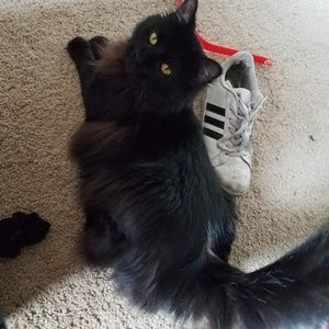 Meet your Posher, Marcela